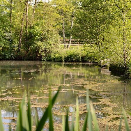 Apartament La Sittelle Des Aguesses Andenne Zewnętrze zdjęcie