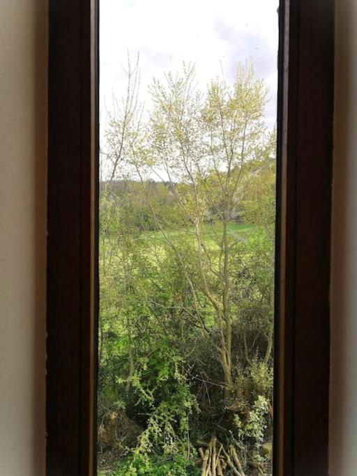 Apartament La Sittelle Des Aguesses Andenne Zewnętrze zdjęcie